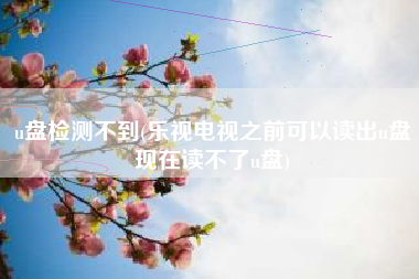 u盘检测不到(乐视电视之前可以读出u盘现在读不了u盘)