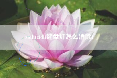 zidli(zidli键盘灯怎么消除)