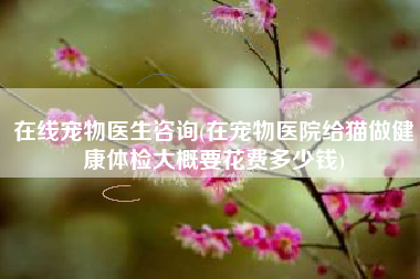 在线宠物医生咨询(在宠物医院给猫做健康体检大概要花费多少钱)