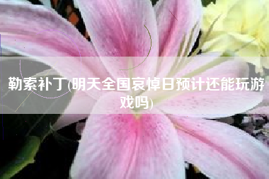 勒索补丁(明天全国哀悼日预计还能玩游戏吗)