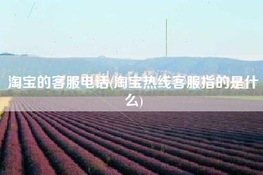 淘宝的客服电话(淘宝热线客服指的是什么)