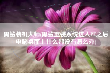 黑鲨装机大师(黑鲨重装系统进入PE之后电脑桌面上什么都没有怎么办)