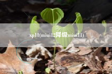 xp11(miui12降级miui11)