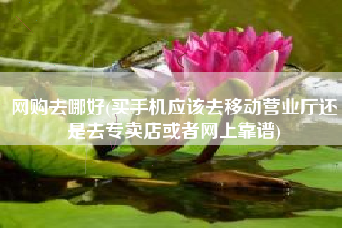 网购去哪好(买手机应该去移动营业厅还是去专卖店或者网上靠谱)