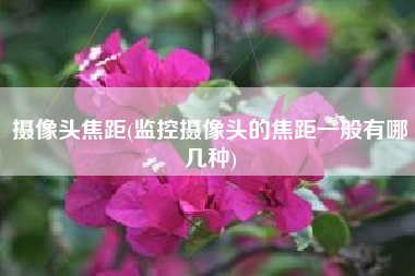 摄像头焦距(监控摄像头的焦距一般有哪几种)