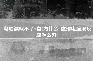 电脑读取不了u盘(为什么u盘插电脑没反应怎么办)