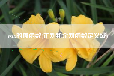 cscx的原函数(正割和余割函数定义域)
