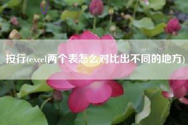 按行(excel两个表怎么对比出不同的地方)