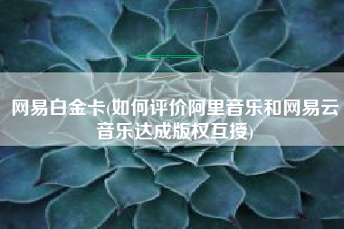 网易白金卡(如何评价阿里音乐和网易云音乐达成版权互授)