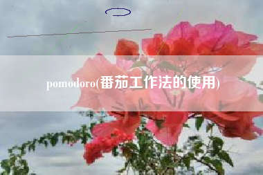 pomodoro(番茄工作法的使用)