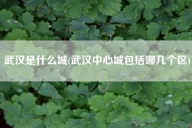武汉是什么城(武汉中心城包括哪几个区)