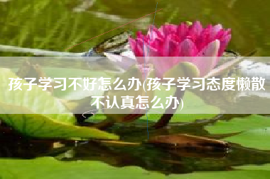 孩子学习不好怎么办(孩子学习态度懒散不认真怎么办)