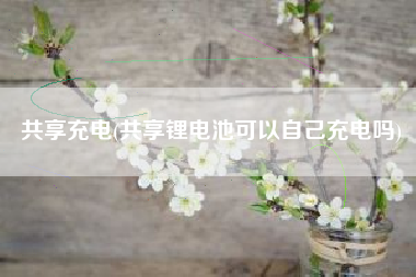 共享充电(共享锂电池可以自己充电吗)