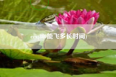 erx(800能飞多长时间)