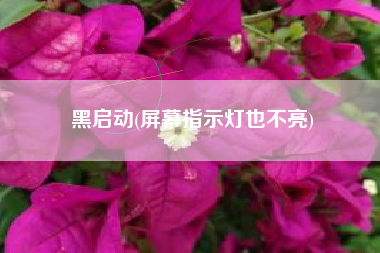 黑启动(屏幕指示灯也不亮)