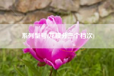 系列型号(龙膜分三个档次)