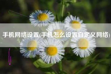 手机网络设置(手机怎么设置自定义网络)