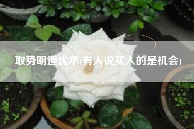 取势明道优术(有人说买入的是机会)