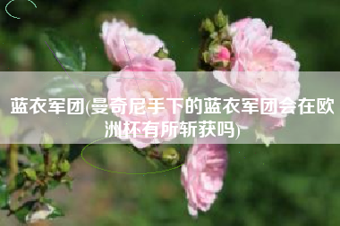 蓝衣军团(曼奇尼手下的蓝衣军团会在欧洲杯有所斩获吗)