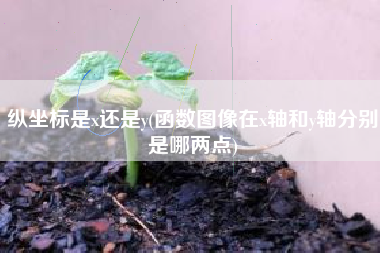纵坐标是x还是y(函数图像在x轴和y轴分别是哪两点)