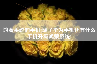 鸿蒙系统的手机(除了华为手机还有什么手机升级鸿蒙系统)