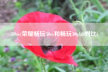 30m(荣耀畅玩30m和畅玩30plus对比)