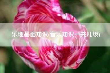 乐理基础知识(音乐知识一共几级)