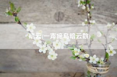 暗云(一声啼鸟暗云散)