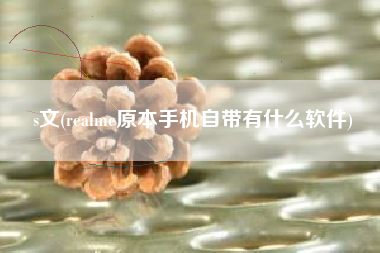 s文(realme原本手机自带有什么软件)