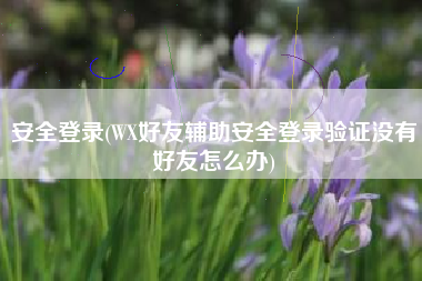 安全登录(WX好友辅助安全登录验证没有好友怎么办)