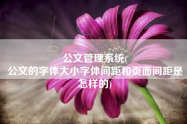 公文管理系统(
公文的字体大小字体间距和页面间距是怎样的) 公文管理系统(
公文的字体大小字体间距和页面间距是怎样的)
