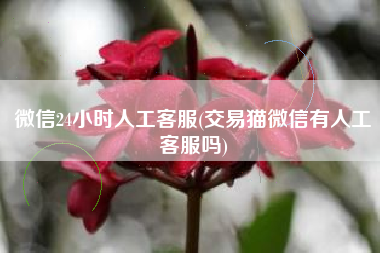 微信24小时人工客服(交易猫微信有人工客服吗)