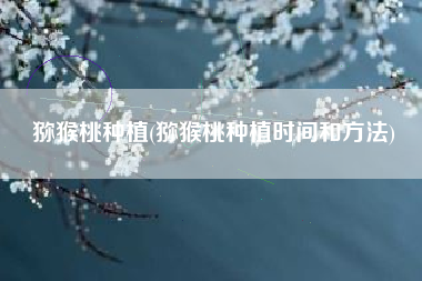 猕猴桃种植(猕猴桃种植时间和方法)