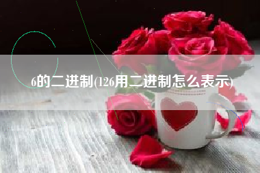 6的二进制(126用二进制怎么表示)