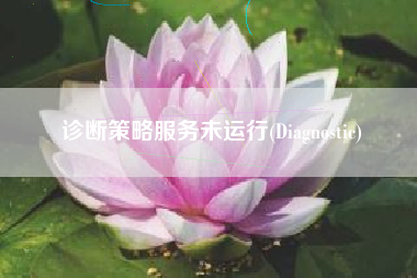 诊断策略服务未运行(Diagnostic)