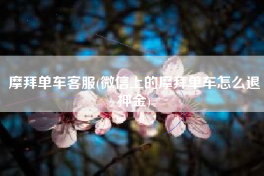摩拜单车客服(微信上的摩拜单车怎么退押金)