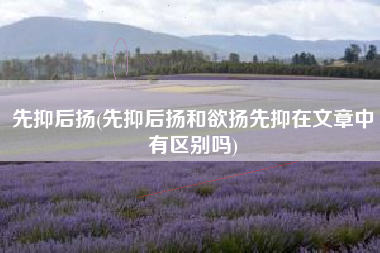 先抑后扬(先抑后扬和欲扬先抑在文章中有区别吗)