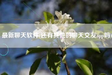 最新聊天软件(还有其他的聊天交友app吗)