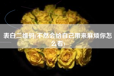 表白二维码(不然会给自己带来麻烦你怎么看)