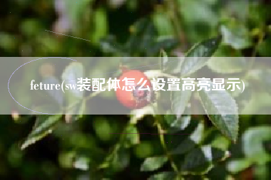 feture(sw装配体怎么设置高亮显示)