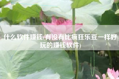 什么软件赚钱(有没有比疯狂乐豆一样好玩的赚钱软件)