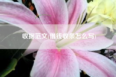 收据范文(借钱收条怎么写)
