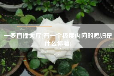 一多直播大厅(有一个极度内向的媳妇是什么体验)