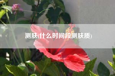 测肤(什么时间段测肤质)