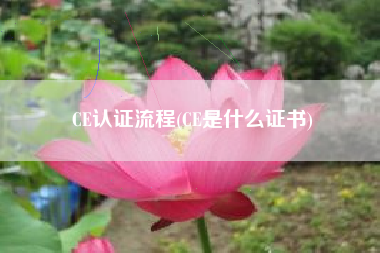 CE认证流程(CE是什么证书)