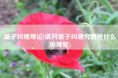 量子纠缠理论(请问量子纠缠究竟是什么原理呢)