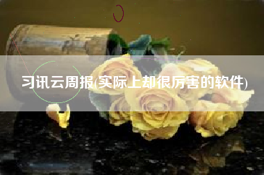 习讯云周报(实际上却很厉害的软件)