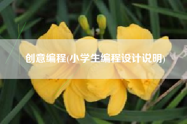 创意编程(小学生编程设计说明)