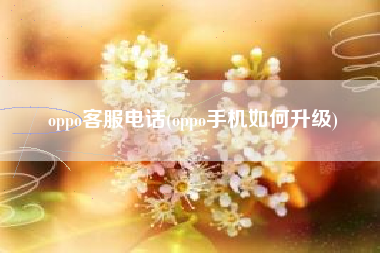 oppo客服电话(oppo手机如何升级)