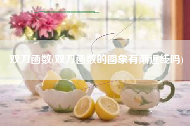 双刀函数(双刀函数的图象有渐近线吗)